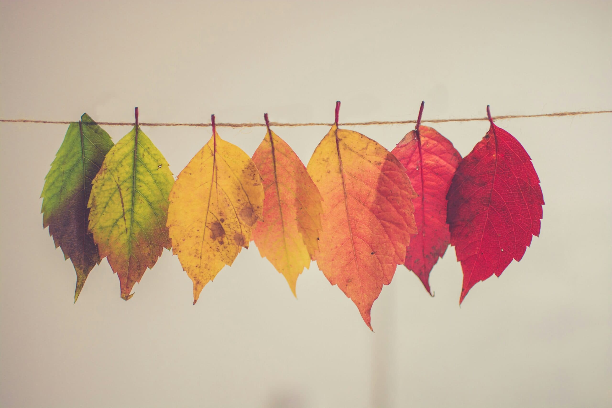 How People Change